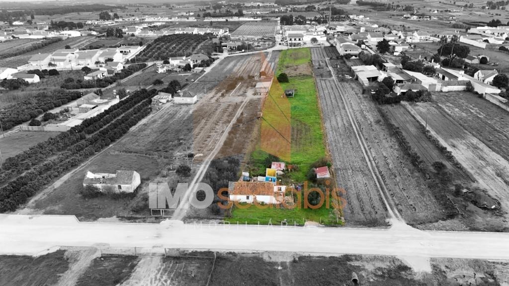 Terreno para projeto de quatro moradias em Frade de Cima, Alpiarça