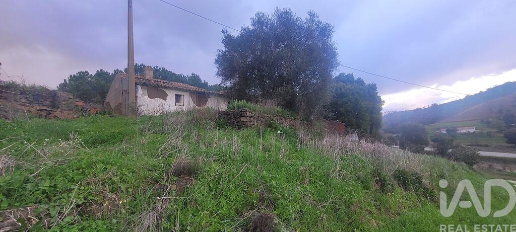 Land in Sao Teotonio - view 1