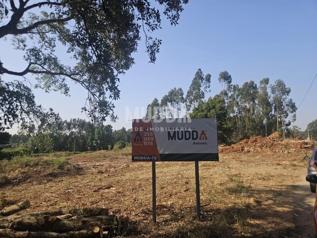 Terreno Rústico com Viabilidade de Construção – Ponte Reada, Ovar | 4957,50 m²