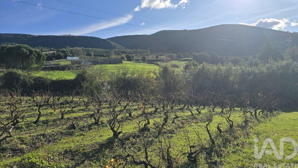 Land in Valbom - Image 5