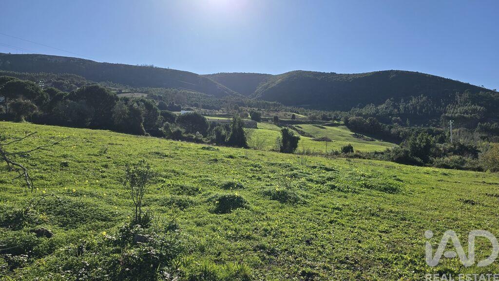 Land in Valbom - view 1