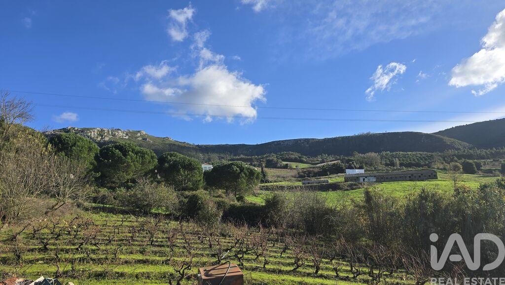 Land in Valbom - view 1