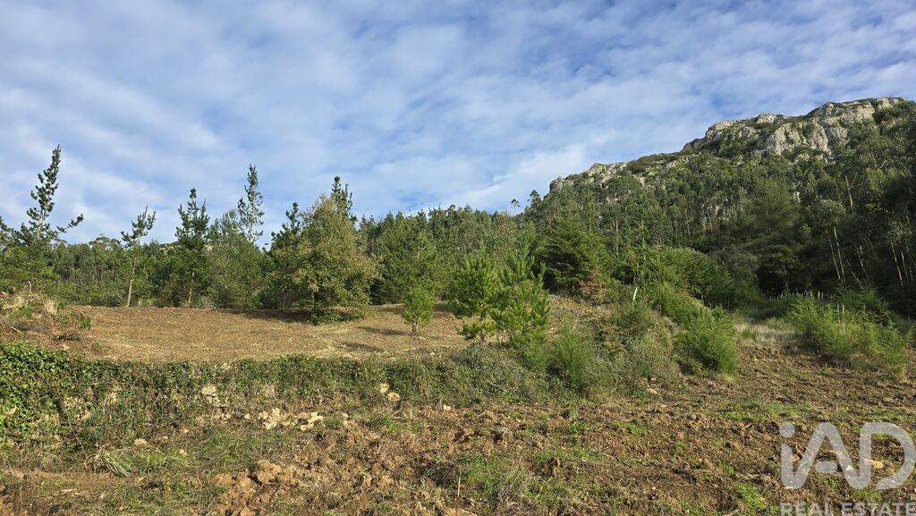 Land in Valbom - Image 4