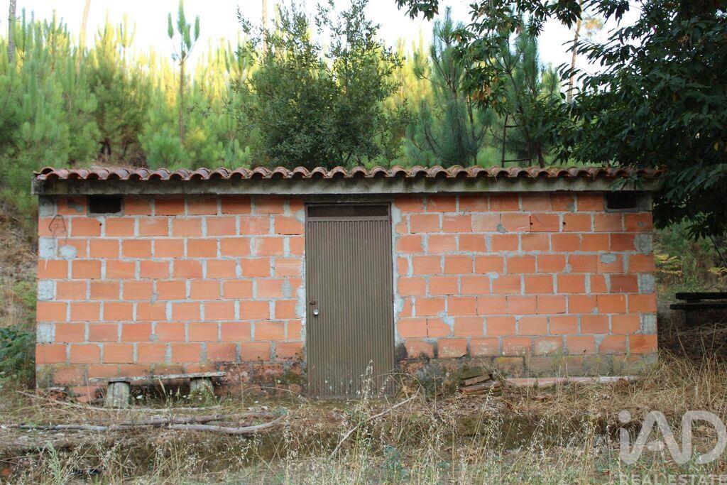 Land in Nogueira do Cravo - view 1