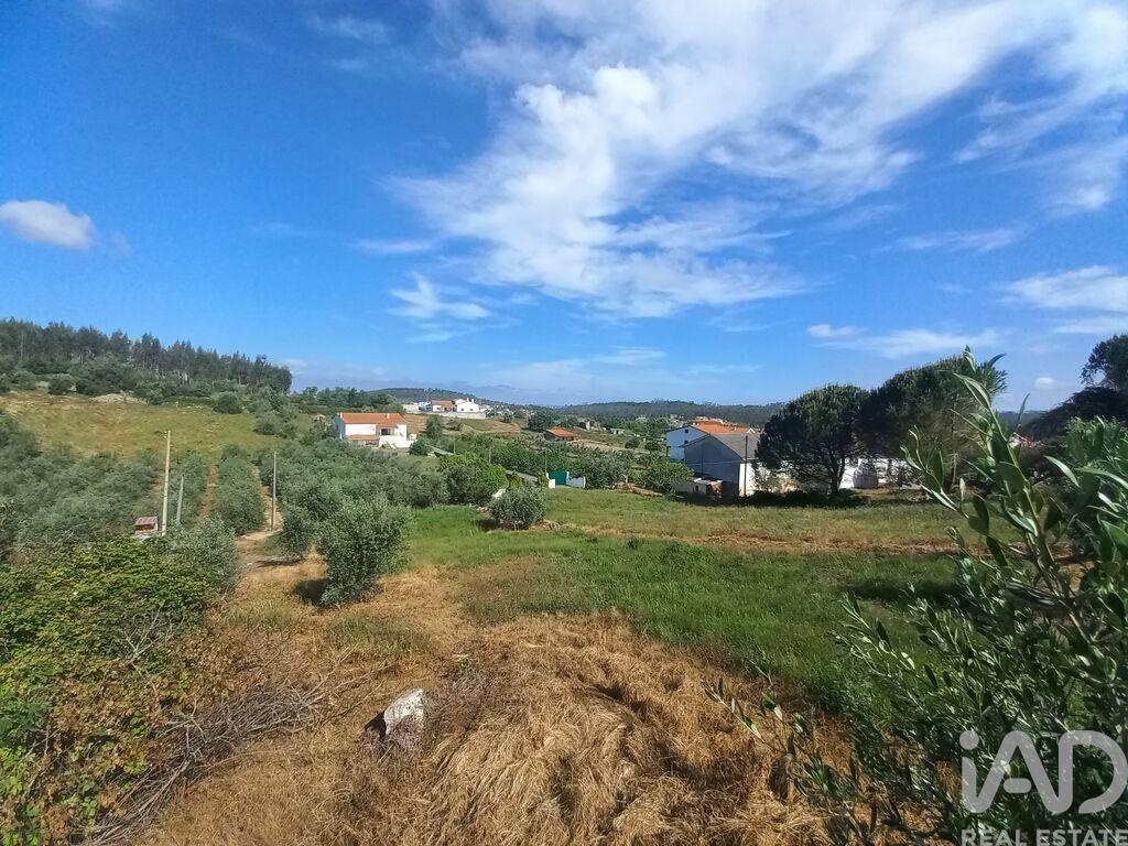 Land in Arrabal - Image 4