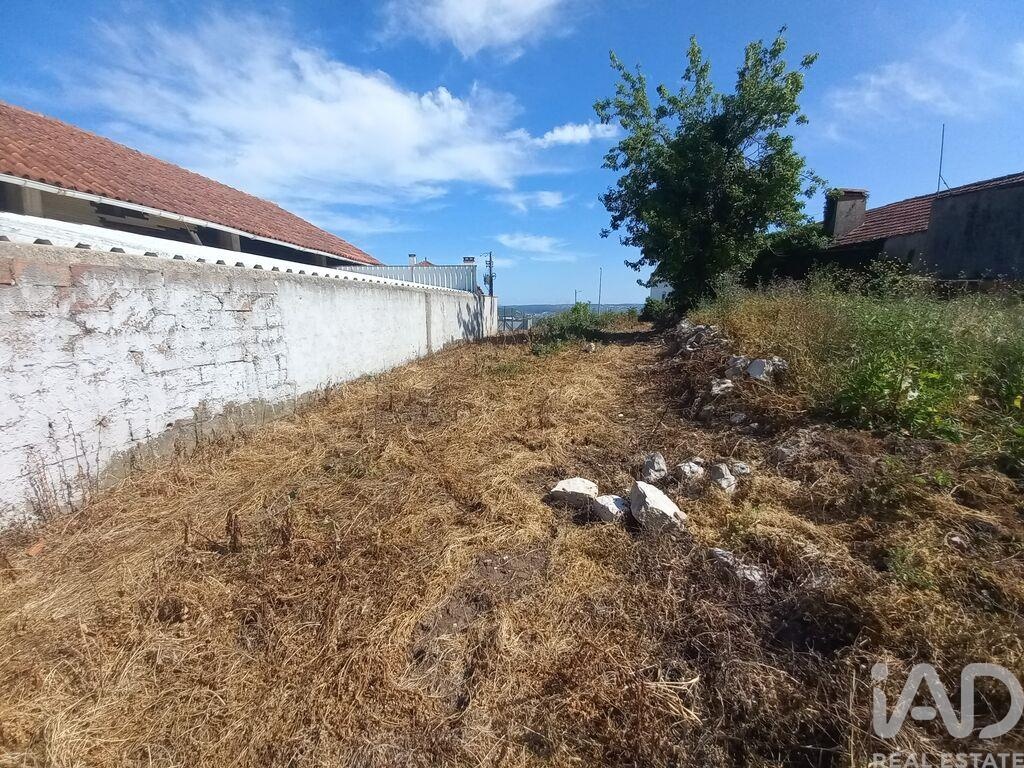 Land in Arrabal - Image 4