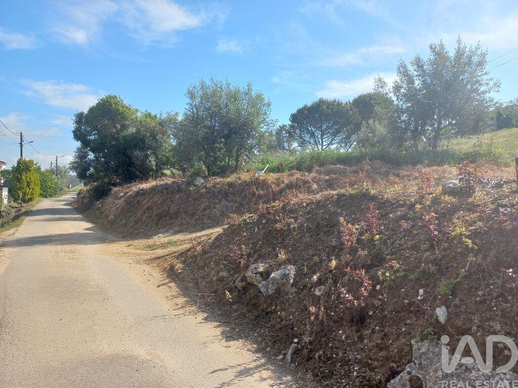 Land in Arrabal - Image 2