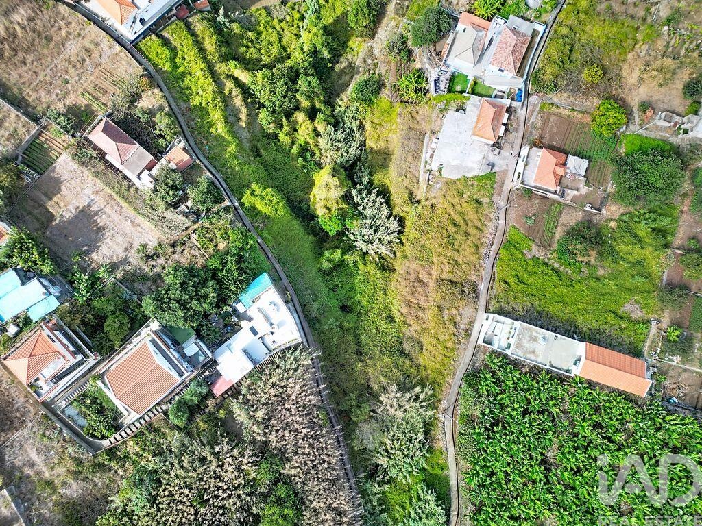 Land in Ribeira Brava - Image 2