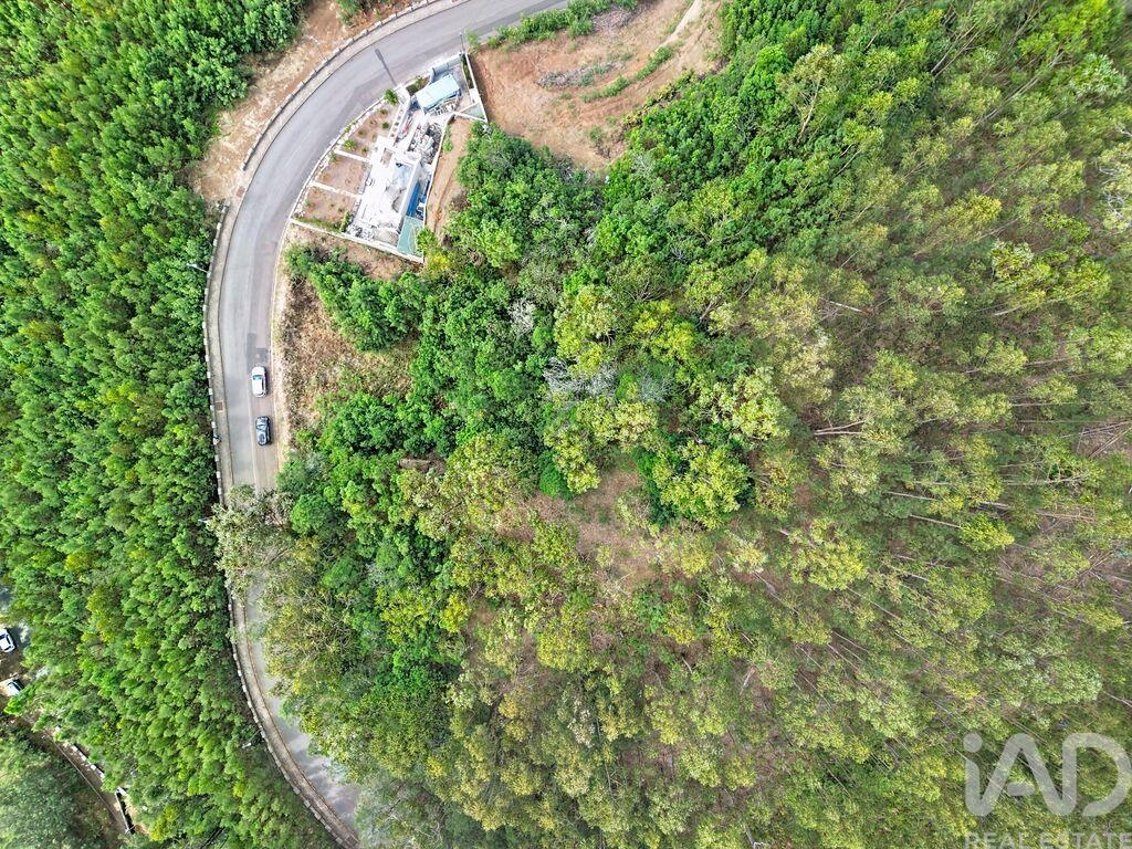 Land in Campanario - Image 5