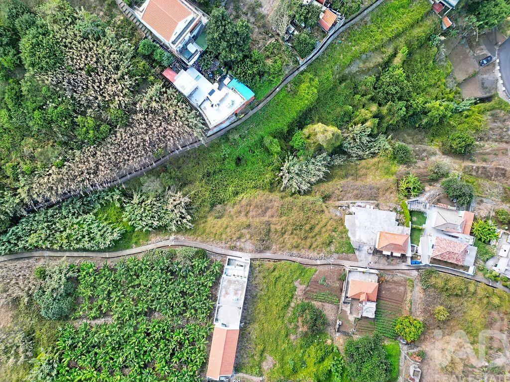 Land in Ribeira Brava - Image 3