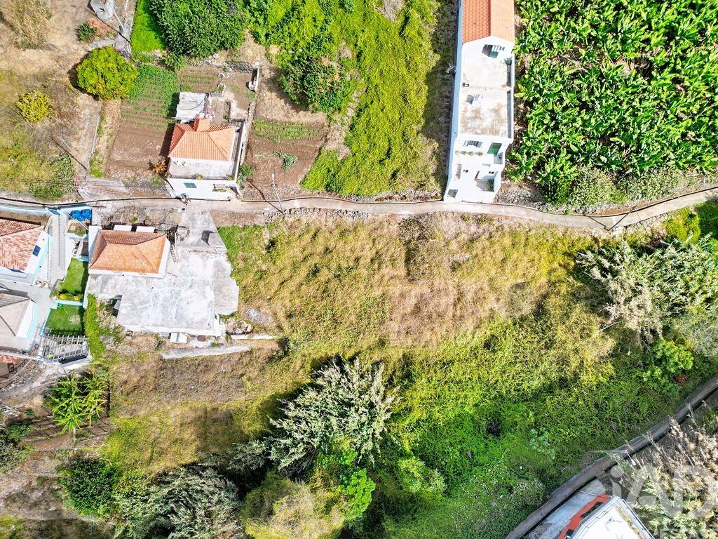 Land in Ribeira Brava - view 1