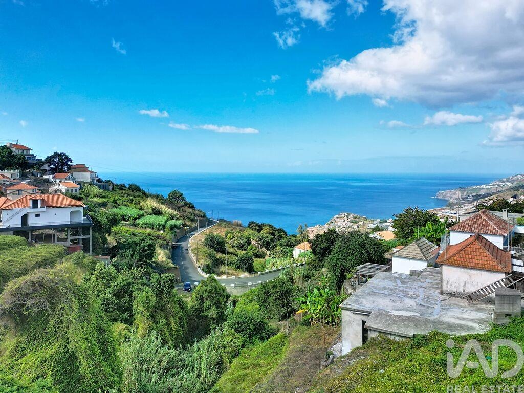 Land in Ribeira Brava - Image 5
