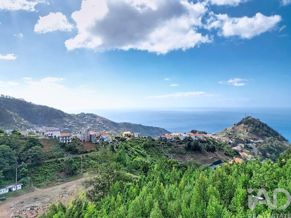 Land in Campanario - Image 3