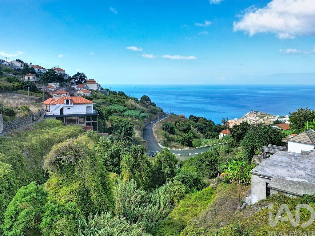 Land in Ribeira Brava - Image 4