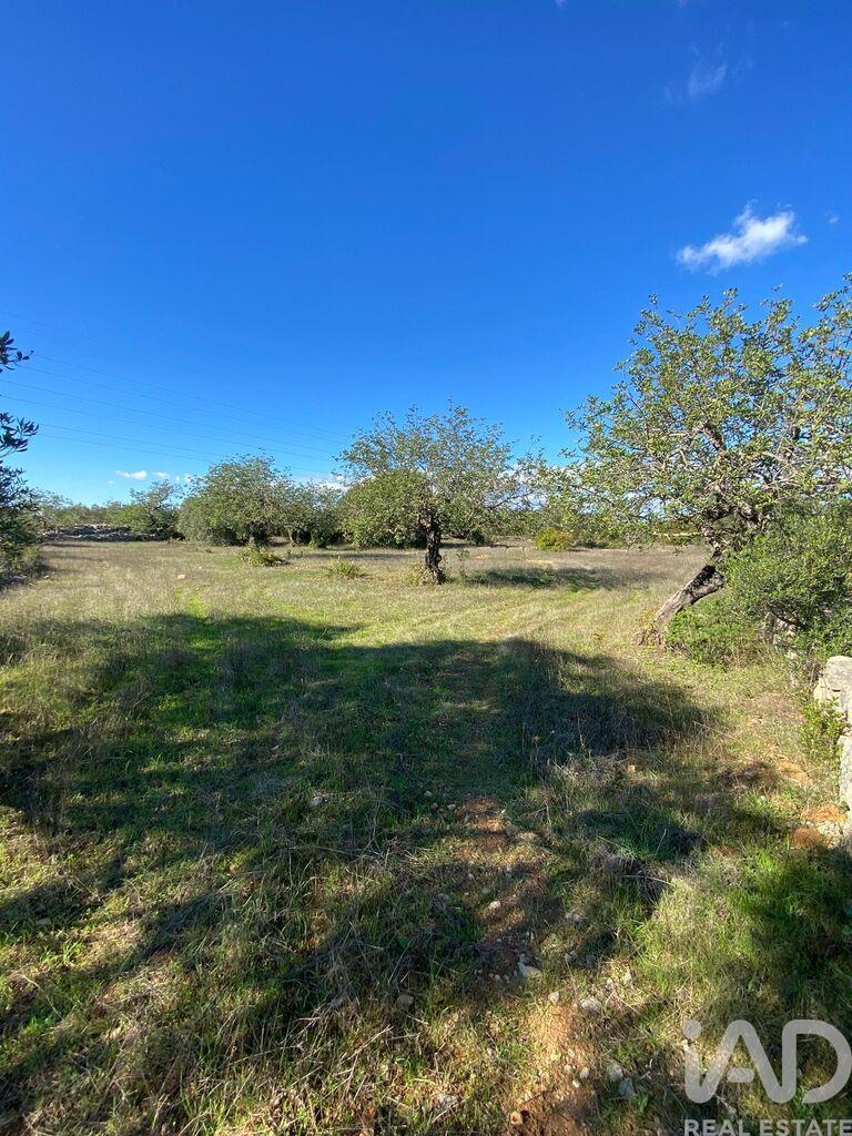Land in Sao Bras de Alportel - view 1