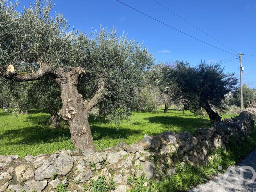 Land in Sao Bras de Alportel - view 1