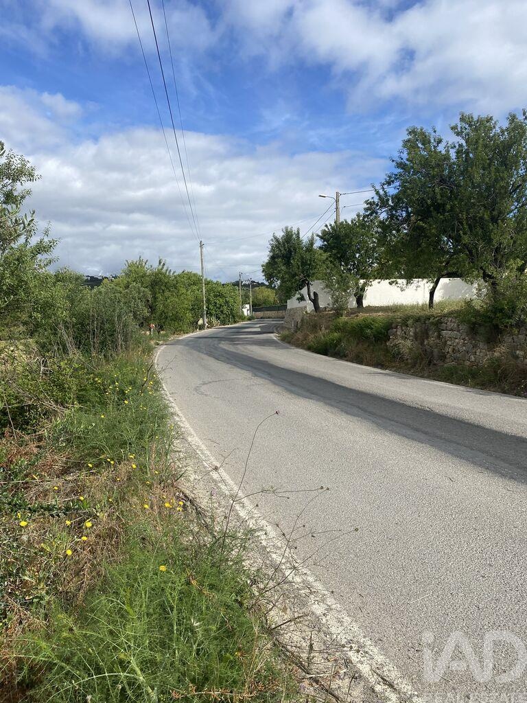Land in Loule - Image 2