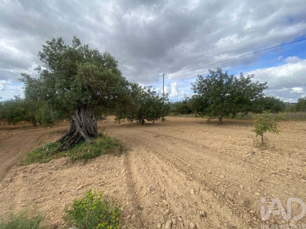 Land in Loule - view 1