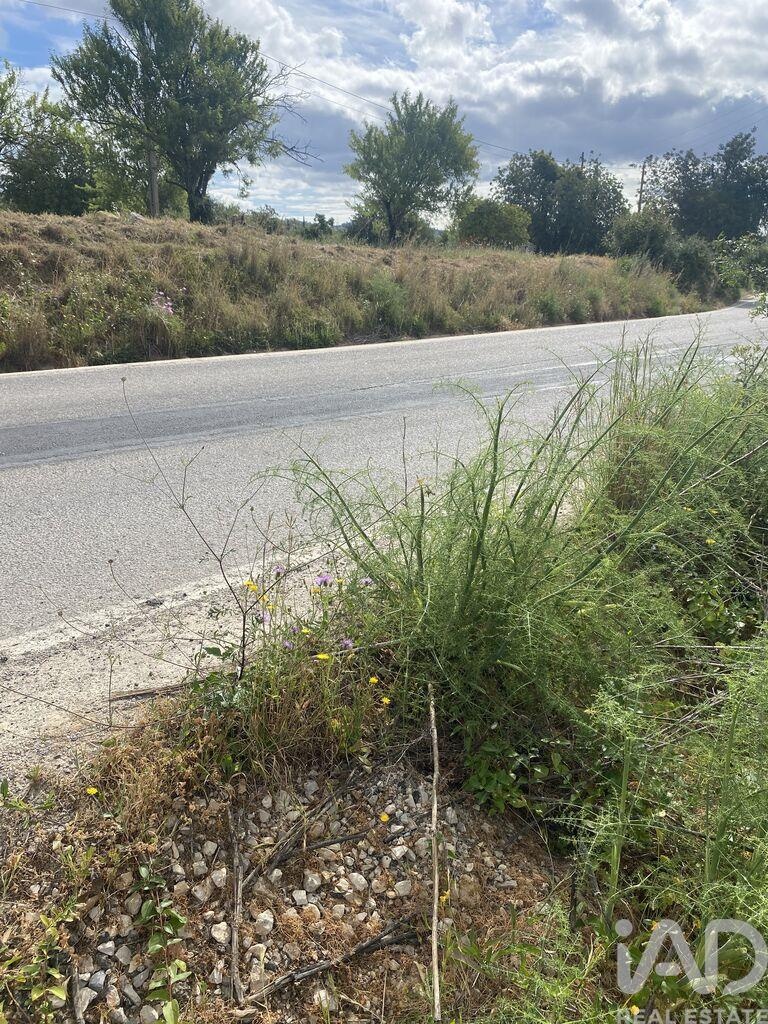 Land in Loule - Image 4