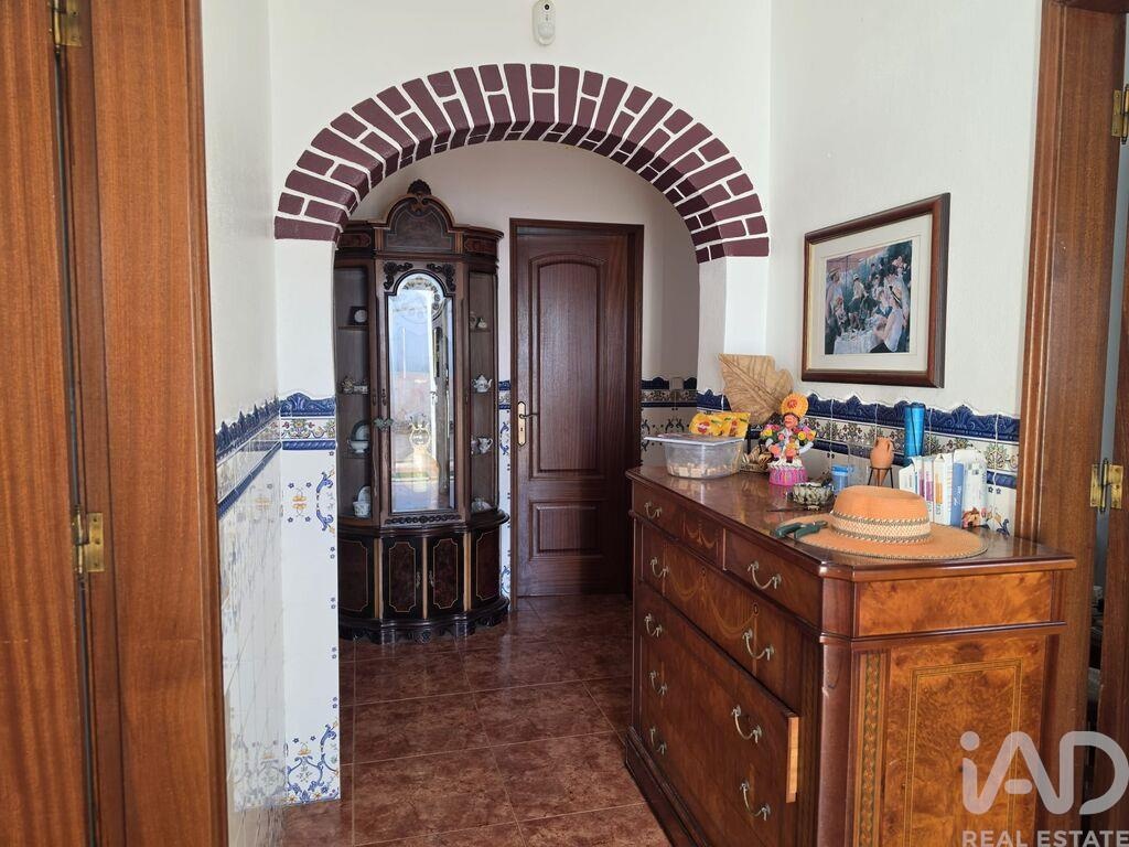 Farm, Ranch or Equestrian in Borba - Image 3
