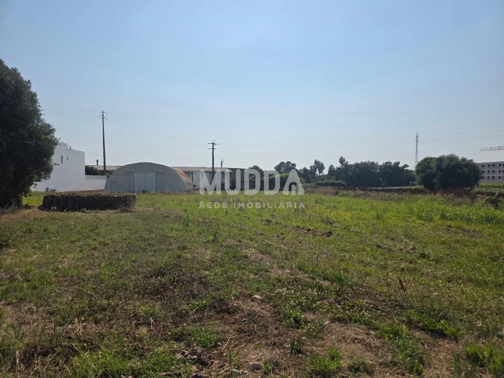 O Próximo Empreendimento de Aradas, Nasce Aqui! Será Consigo?