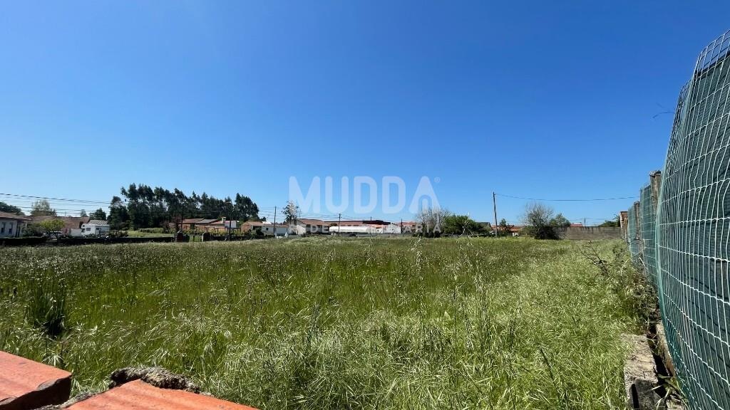 Land for sale in Estarreja, Portugal — €56,000
