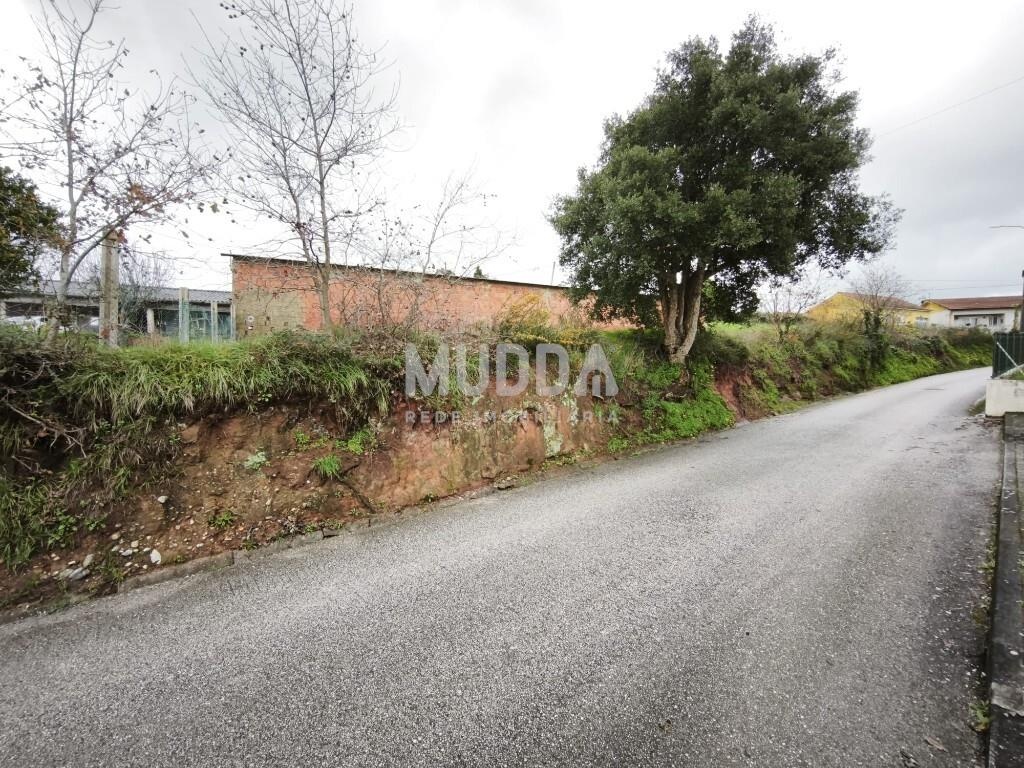 Terreno rústico com excelente potencial construtivo em Frossos – Albergaria-a-Velha