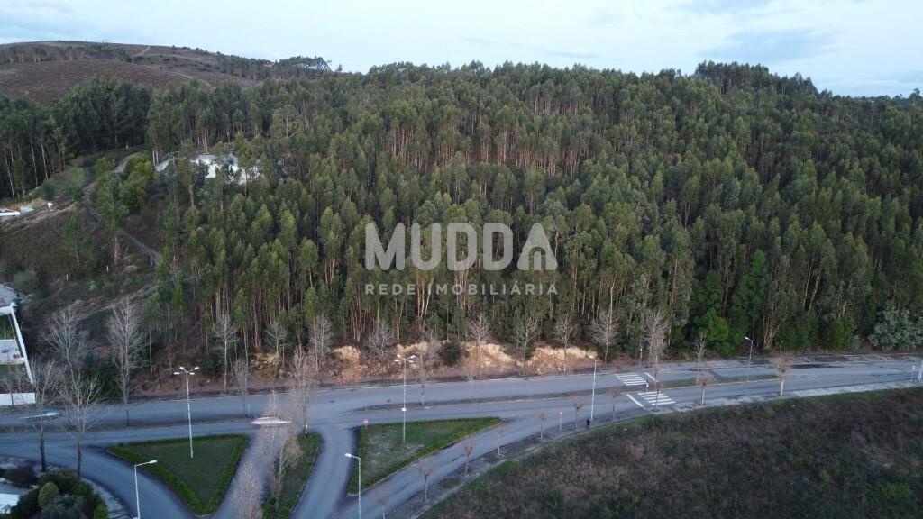 Terreno com 15.850 m² em Valongo – Quinta da Lousa / Lagueirões
