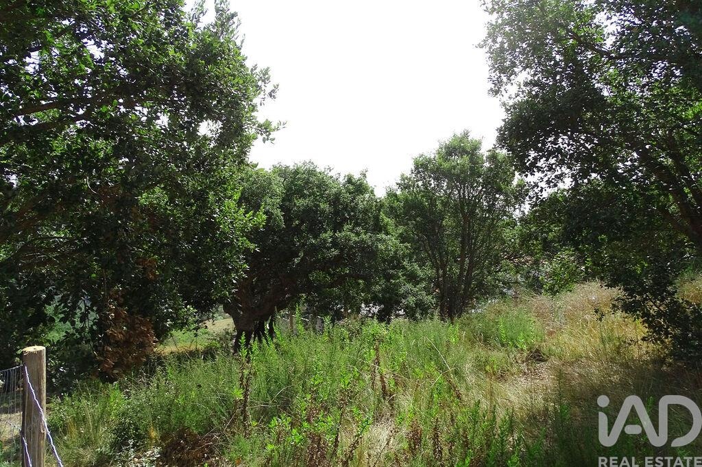 Land in A dos Negros - view 1