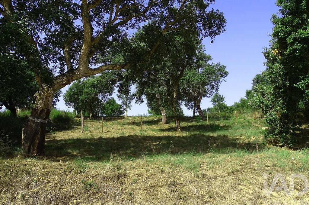 Land in A dos Negros - view 1