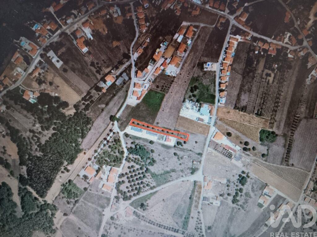 Land in Aljubarrota - view 1