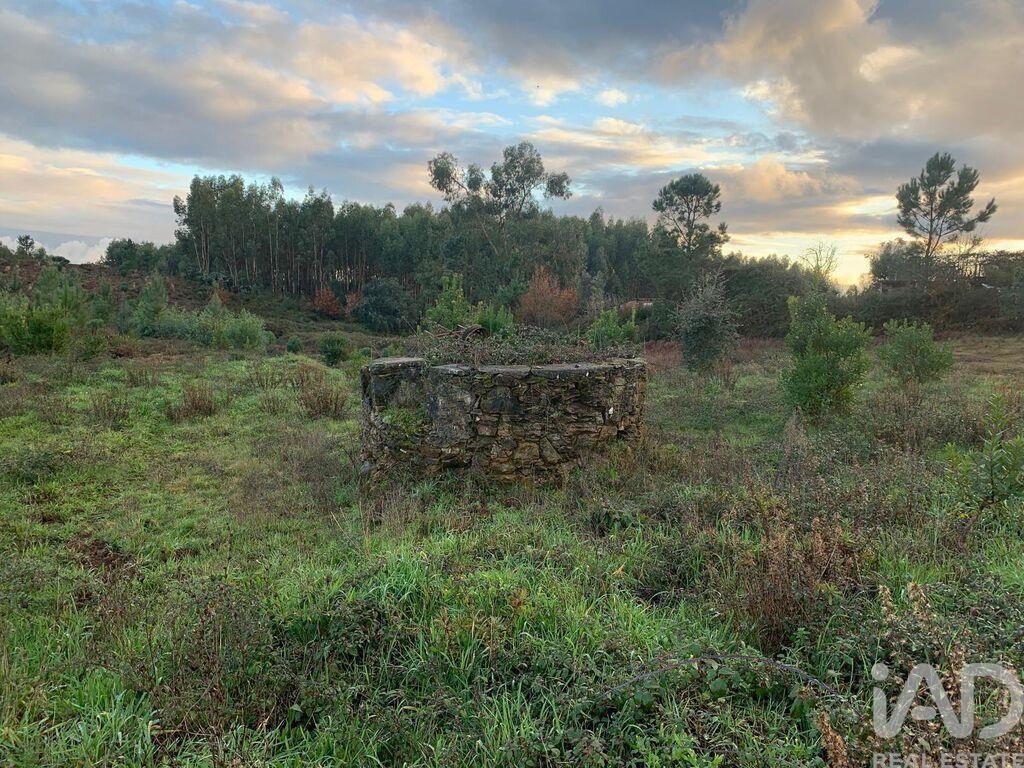 House in Pedrogao Grande - Image 3