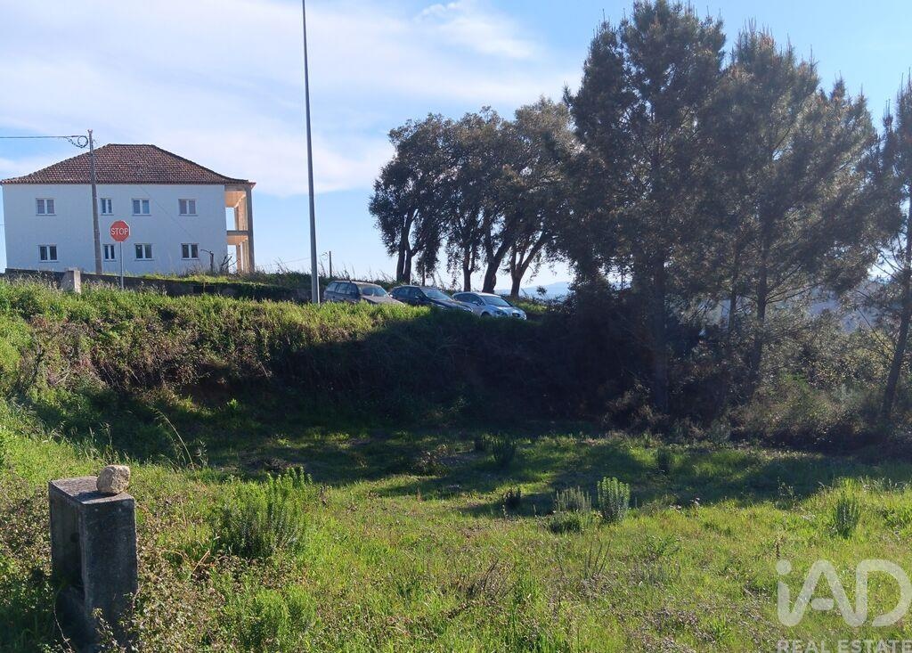 Land in Pedrogao Grande - view 1