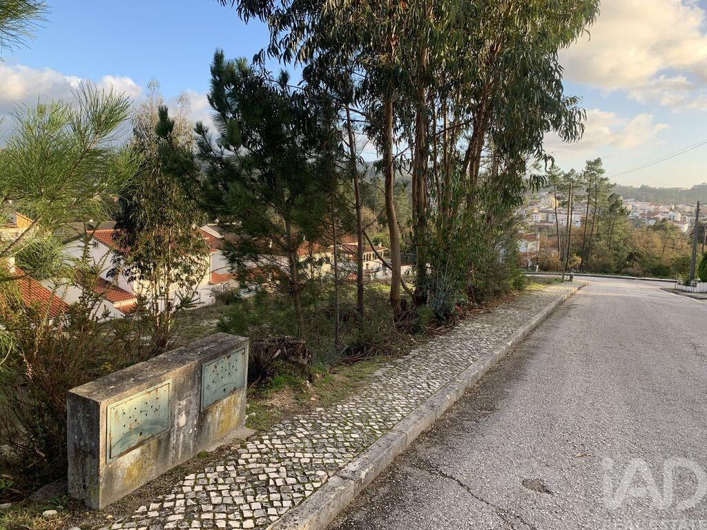 Land in Ansiao - view 1