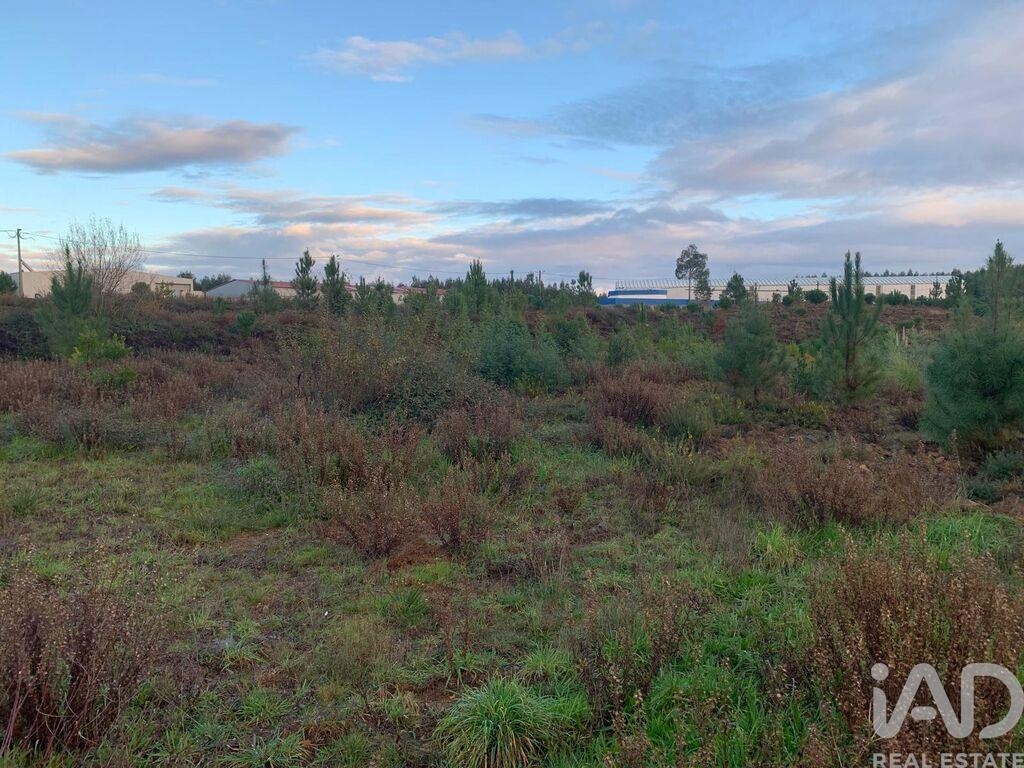 House in Pedrogao Grande - Image 4