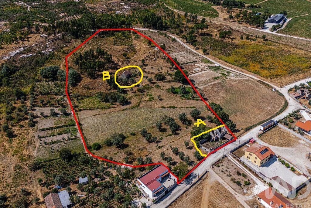 House in Moimenta de Maceira Dao - Image 3