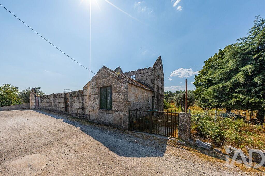 House in Moimenta de Maceira Dao - Image 5