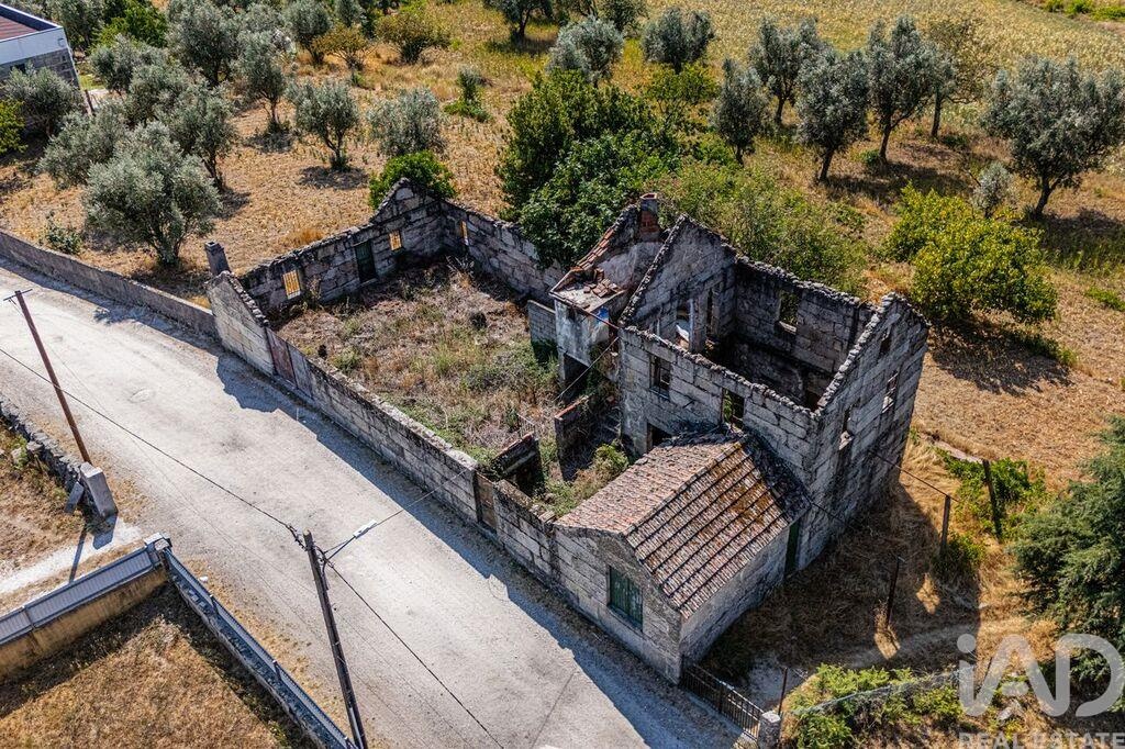 House in Moimenta de Maceira Dao - Image 2