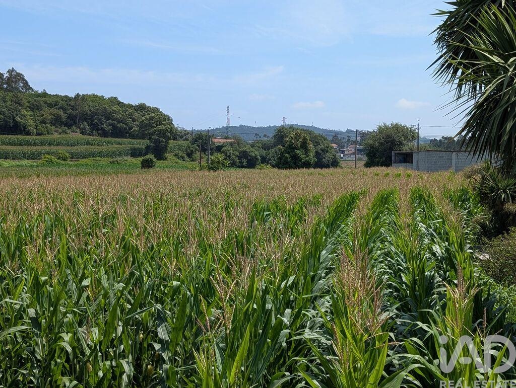 Land in Rio Mau - Image 4