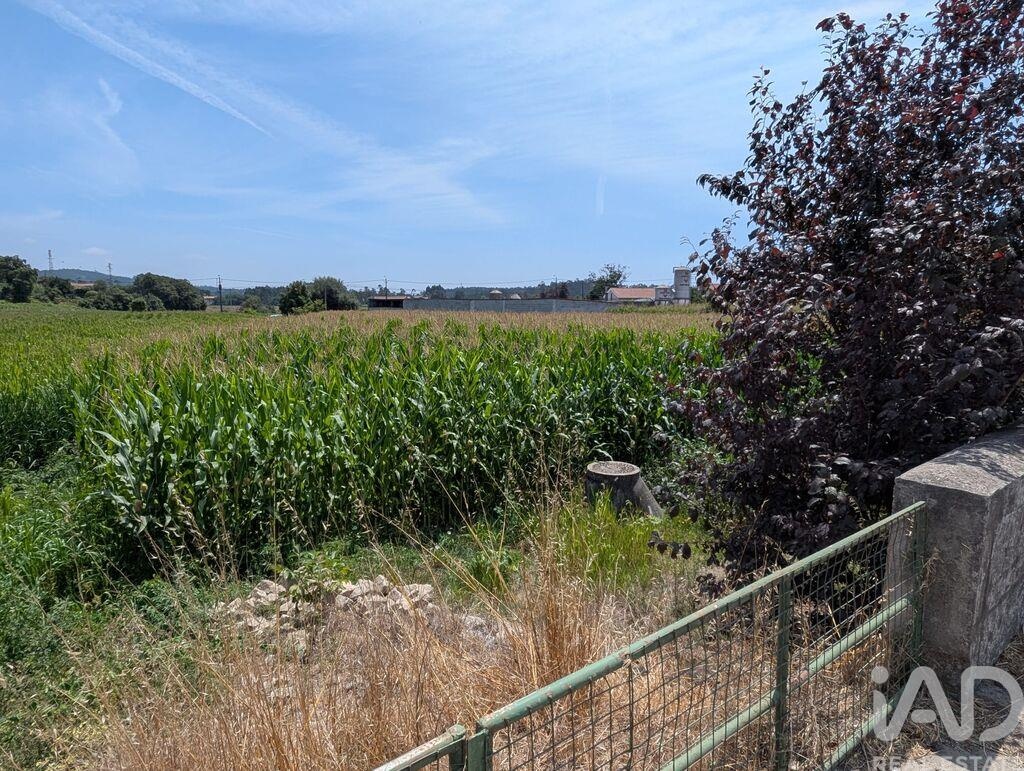 Land in Rio Mau - Image 2