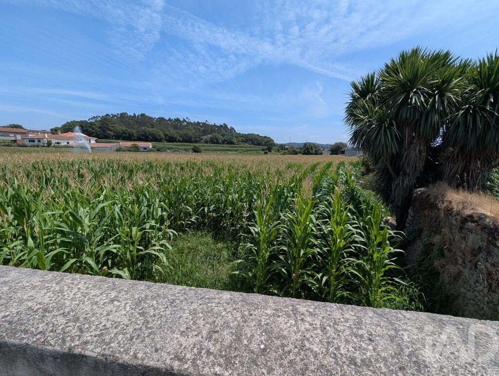 Land in Rio Mau - Image 3