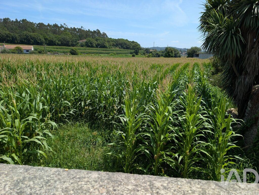 Land in Rio Mau - Image 5