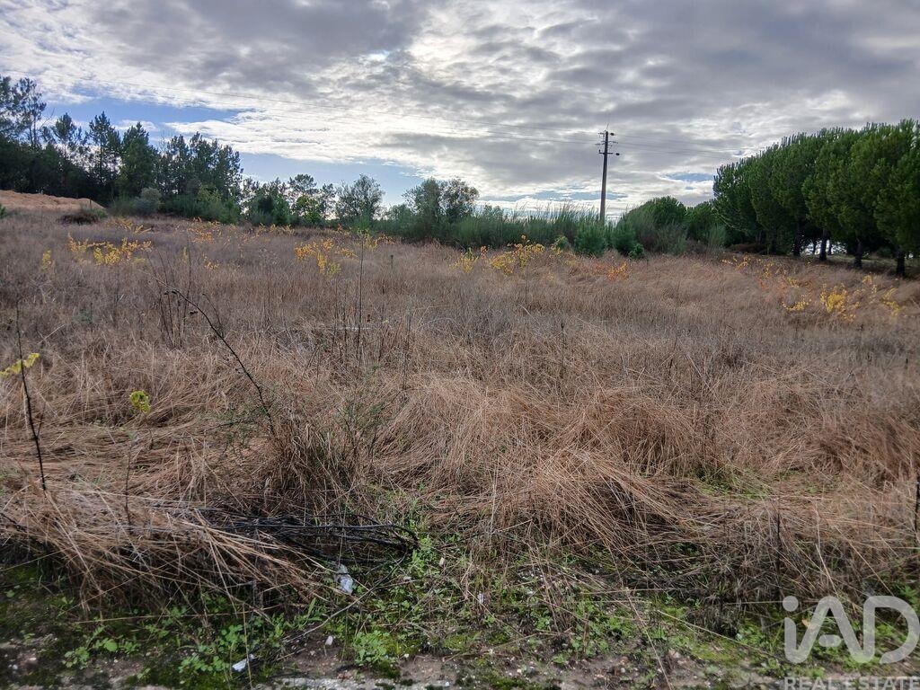 Land in Almeirim - Image 2