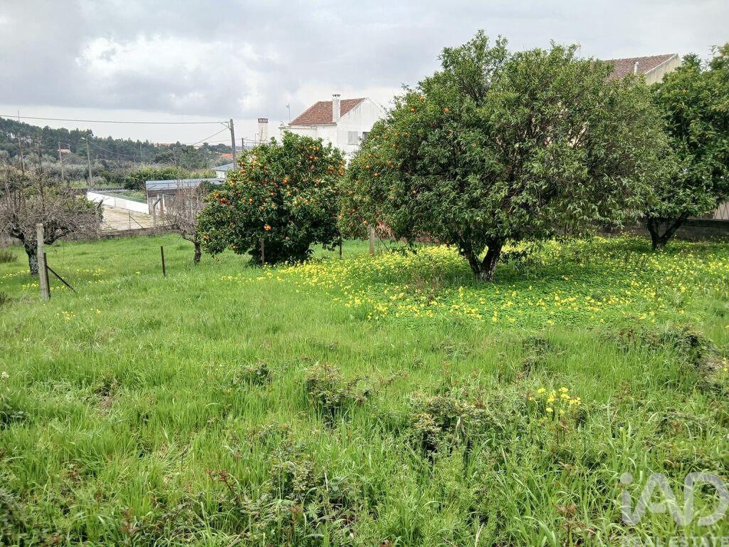Land in Sobral do Campo - Image 2