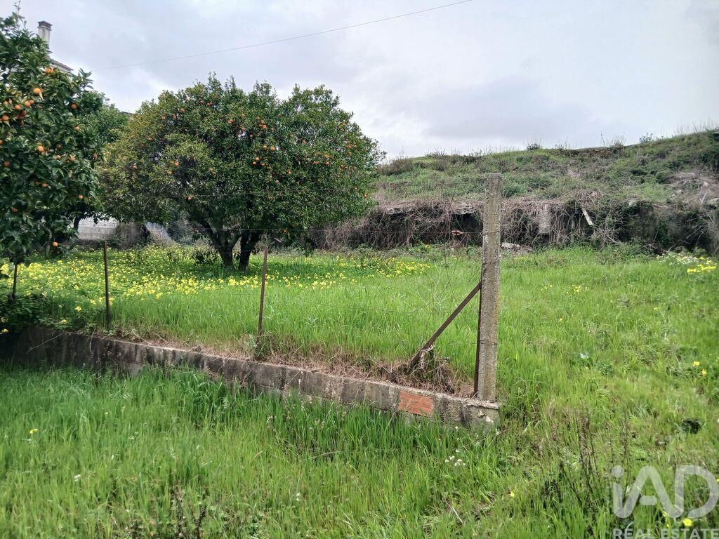 Land in Sobral do Campo - Image 5