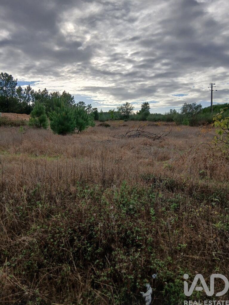 Land in Almeirim - Image 3