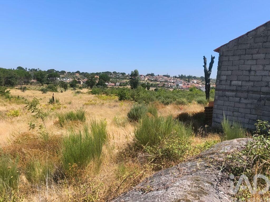 Land in Travancinha - Image 3