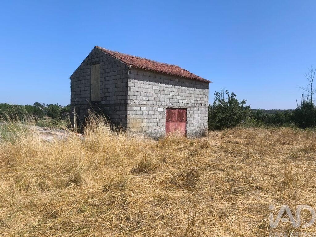 Land in Travancinha - Image 2