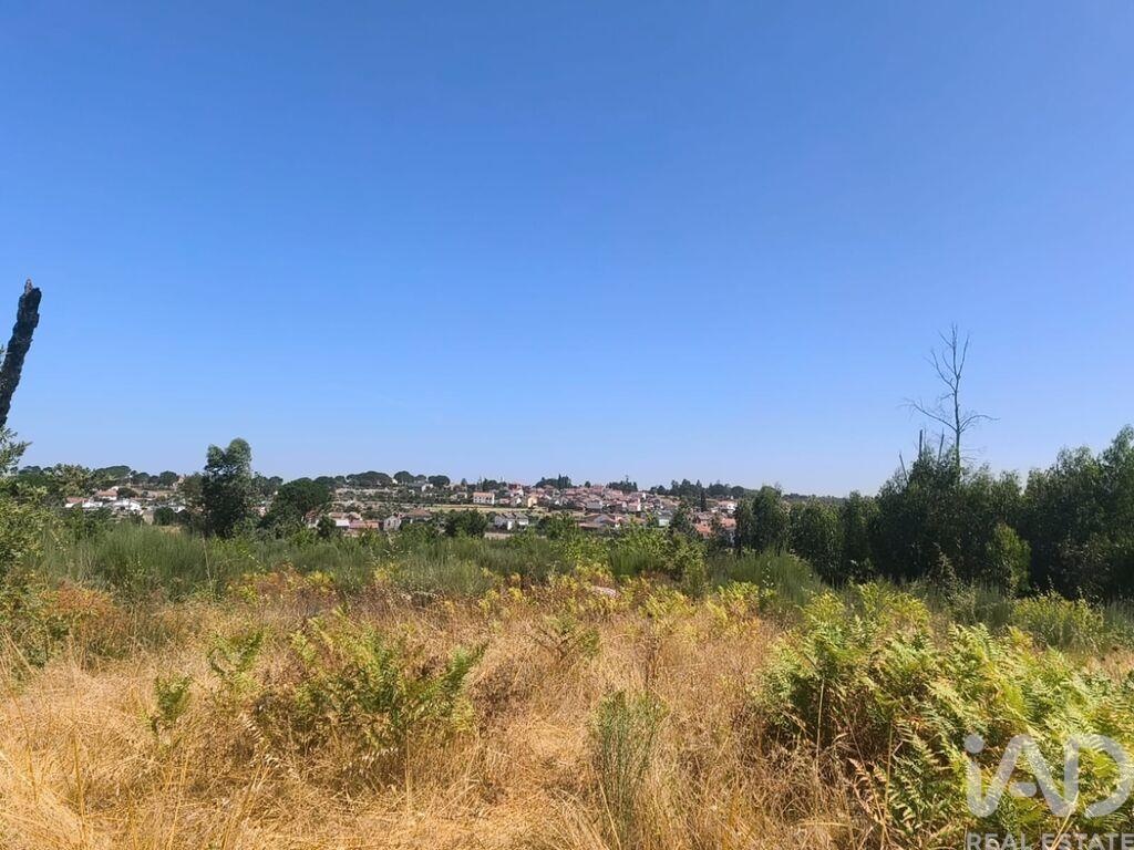 Land in Travancinha - view 1