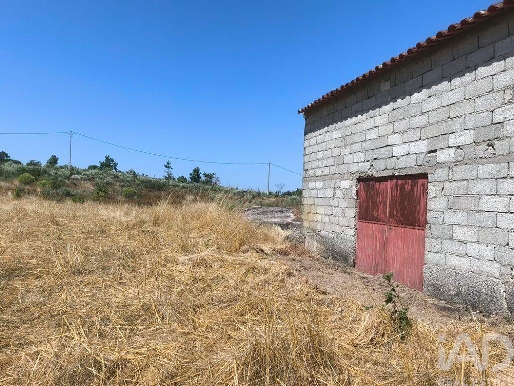 Land in Travancinha - Image 4